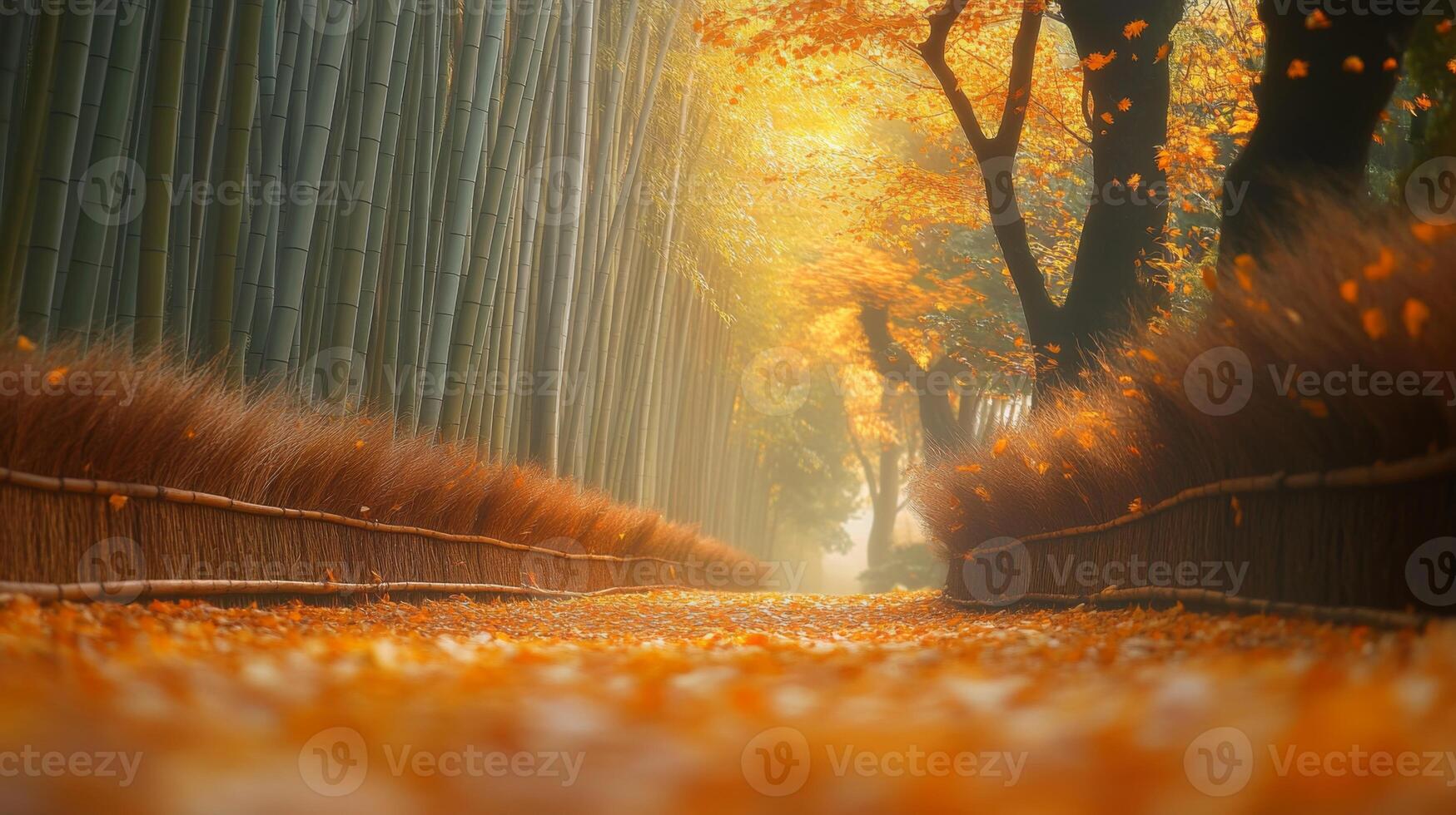 Pathway Through Golden Autumn Leaves and Bamboo Forest photo