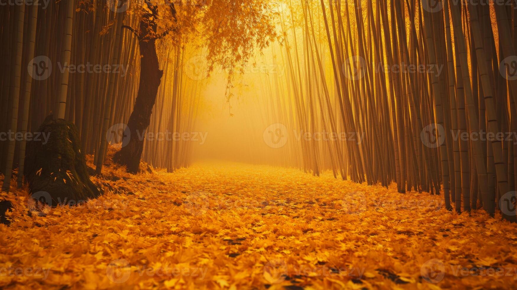 Sunlit Path Through a Golden Bamboo Forest with Fallen Leaves photo