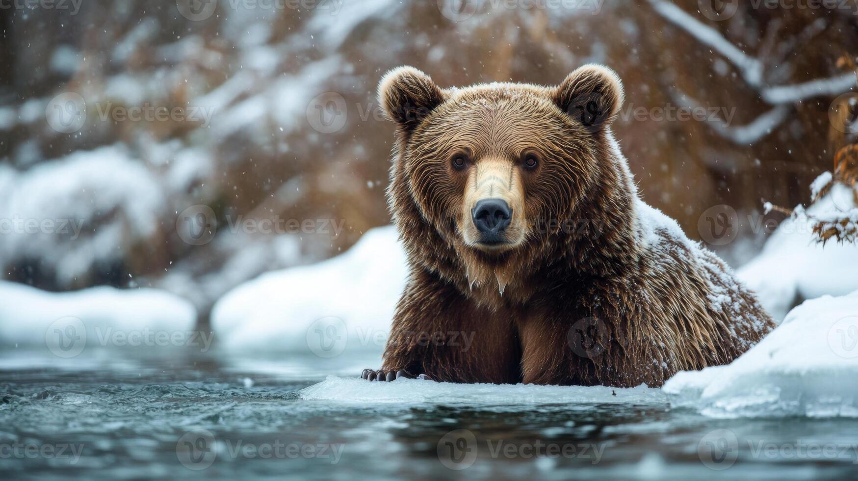 A Brown Bear Emerging From Icy Water in a Snowy Forest photo