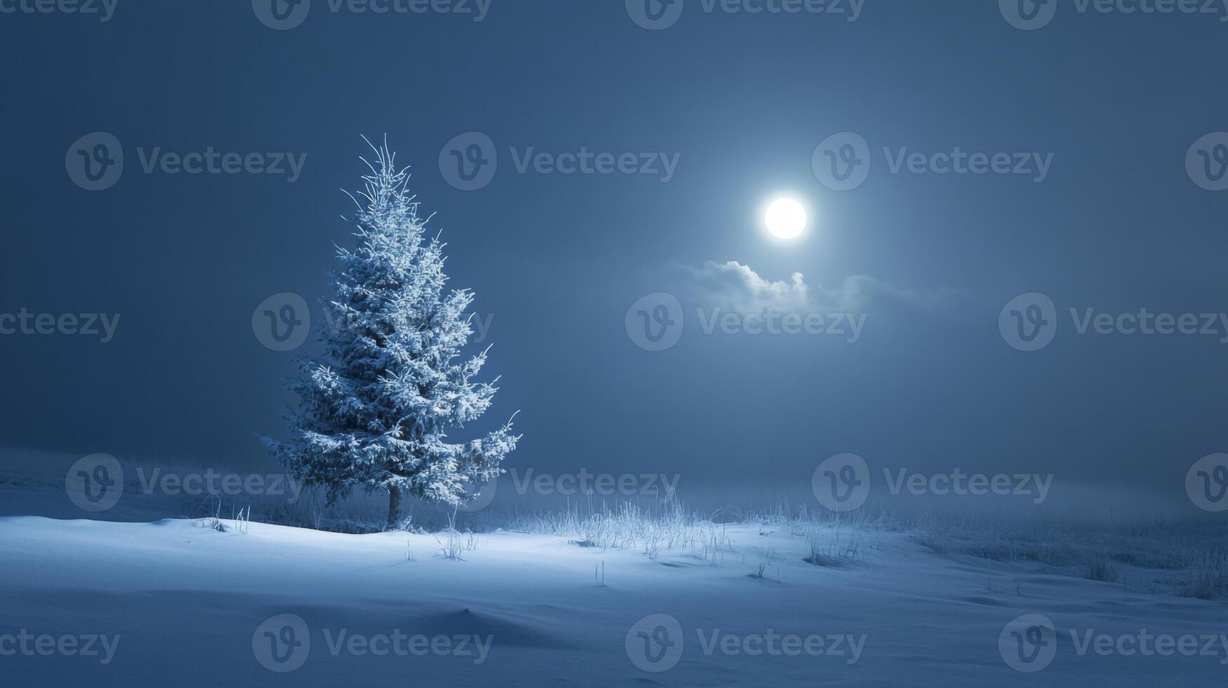 A Lone, Snow-Covered Pine Tree Stands Tall Under a Full Moon in a Snowy Landscape photo