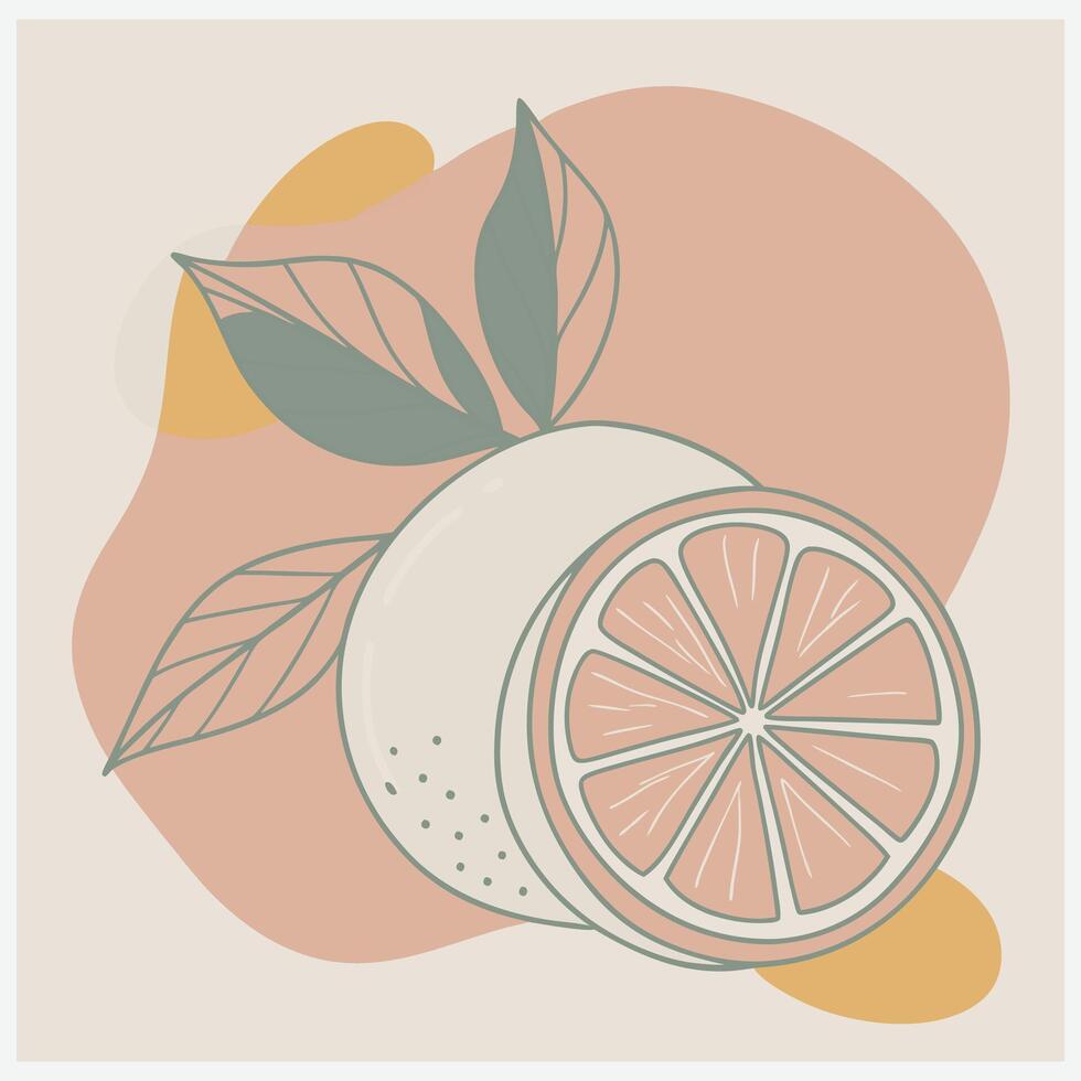 Limequat Fruit Illustration Vibrant Citrus Hybrid Art. vector