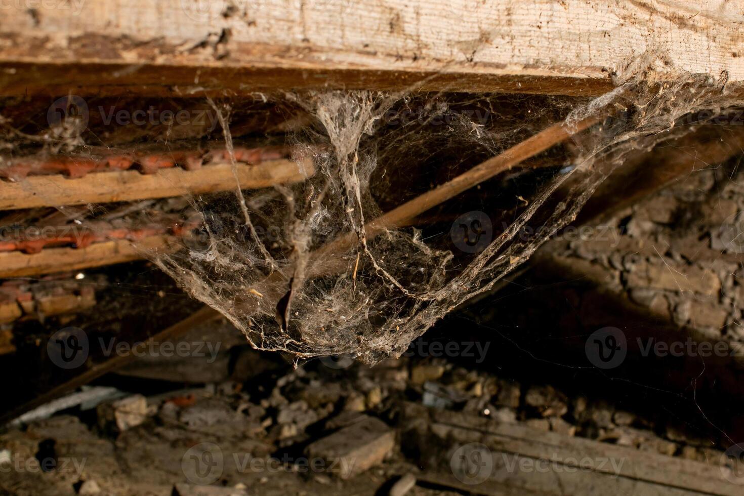 Old attic corner filled with dusty cobwebs, symbolizing Halloween decor or home cleaning challenges photo