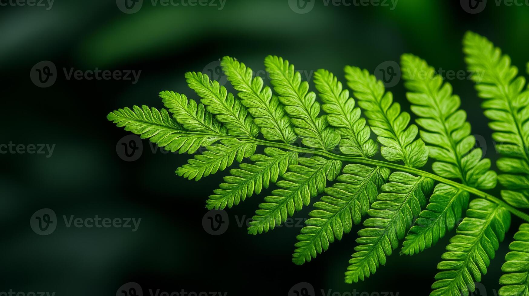 Extreme close up of a fern leaf with visible spores and deep green tones photo