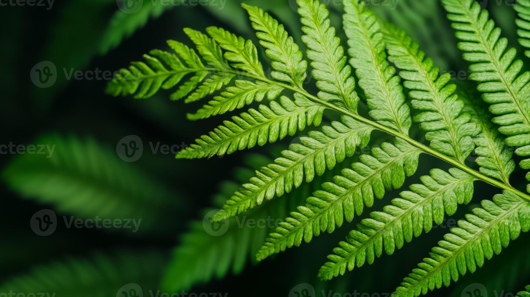 Extreme close up of a fern leaf with visible spores and deep green tones photo