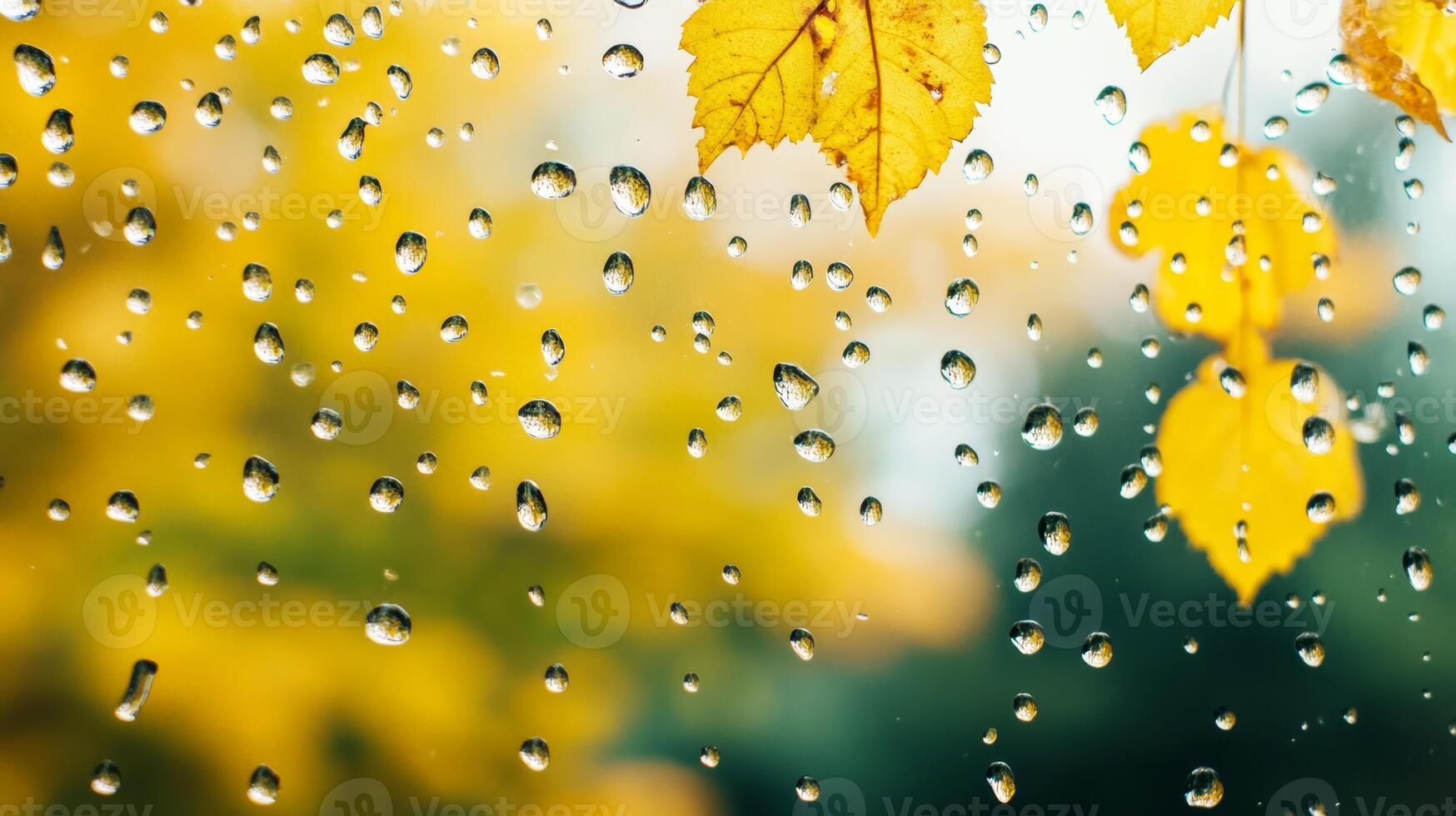 Close up of rain droplets on a window with soft focus autumn trees in the background photo