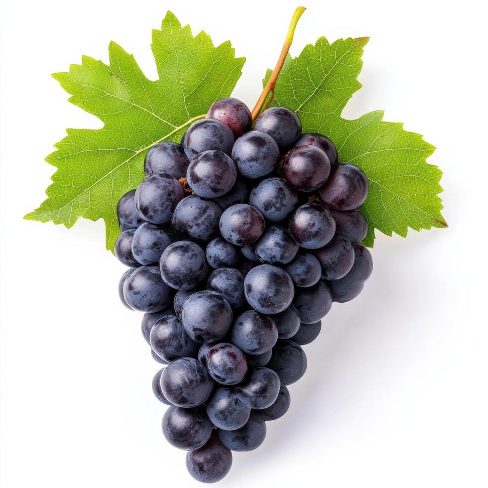 A bunch of grapes with leaves on a white background photo