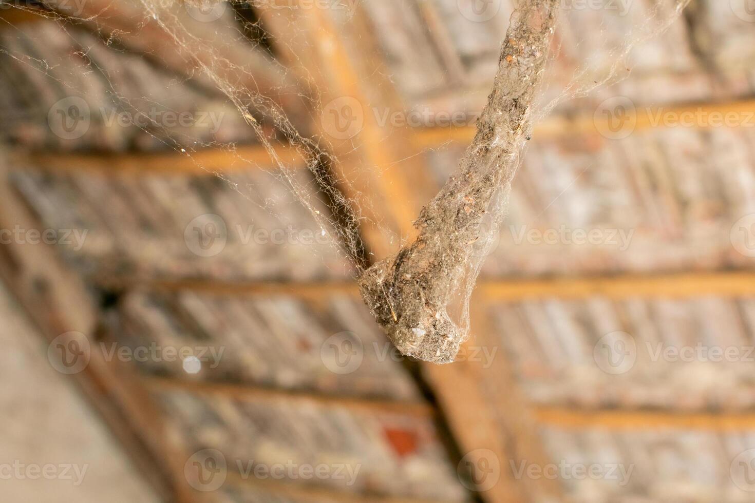 Dirty, cobweb covered attic wooden beam highlighting the need for spring cleaning or home maintenance photo