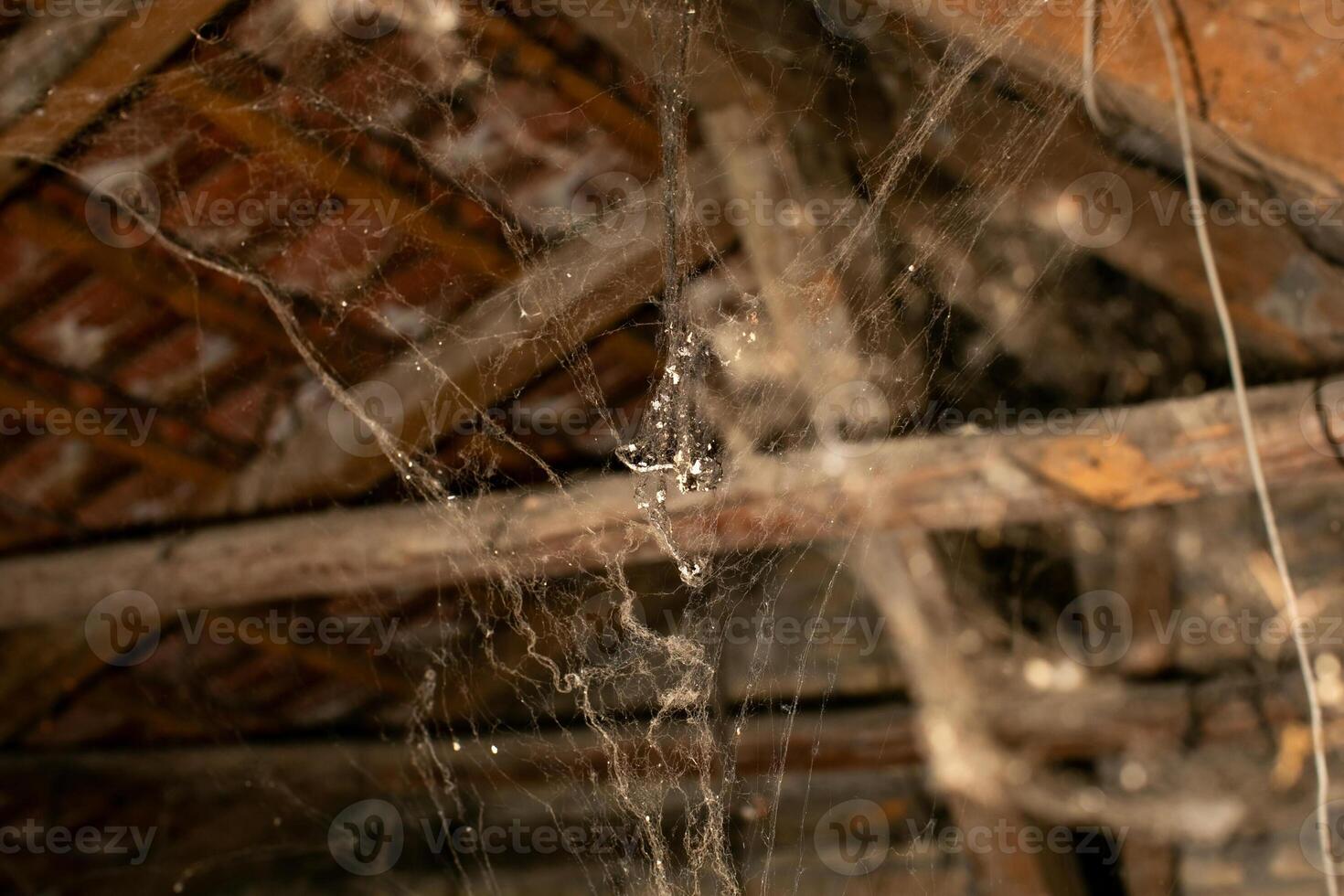 Old attic filled with cobwebs and dust, symbolizing neglect and Halloween spooky haunted house ambiance photo