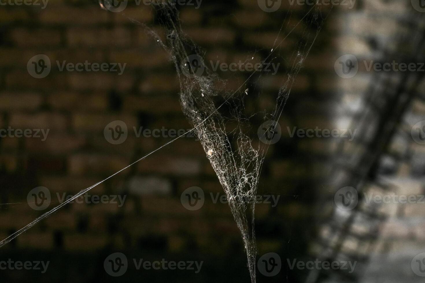 Close up of a cobweb in an abandoned brick building, depicting neglect and perfect for Halloween themed imagery photo