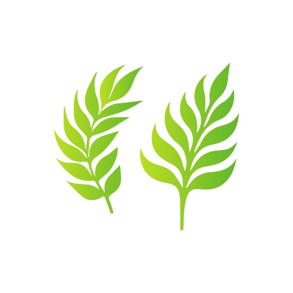 Two green leaves are shown on a white background vector