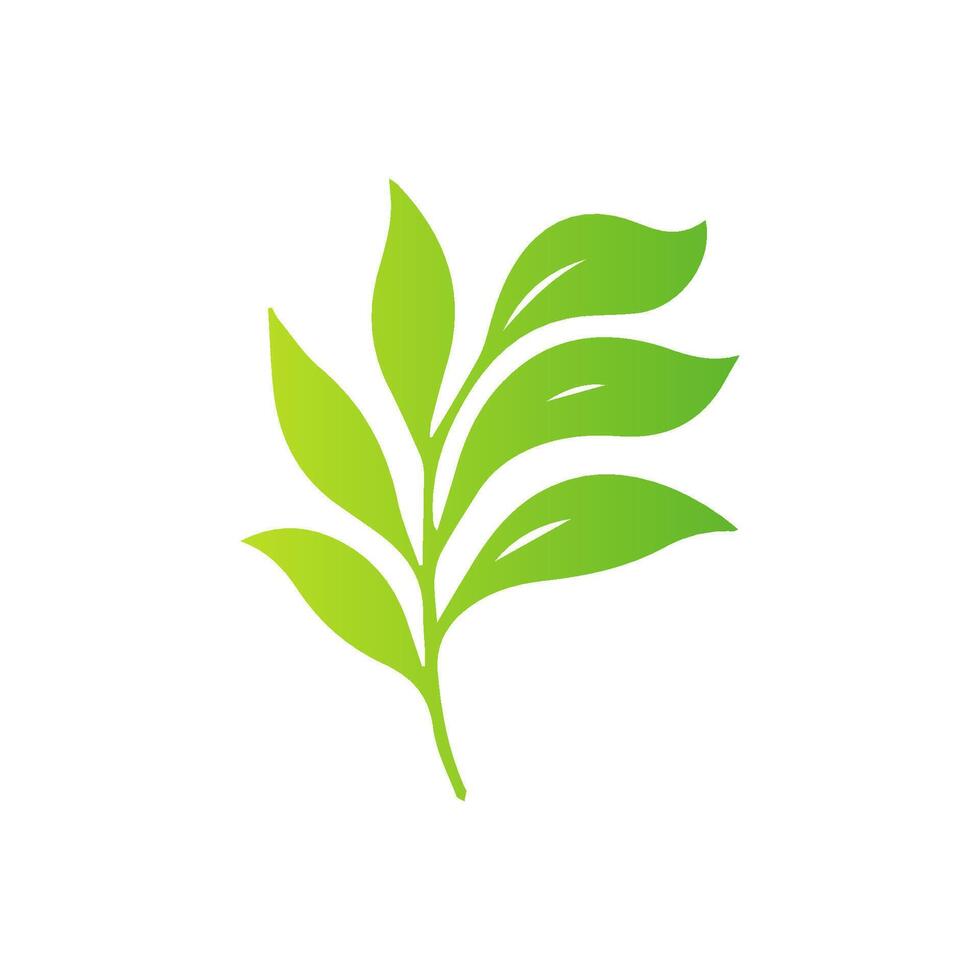 A green leaf logo on a white background vector