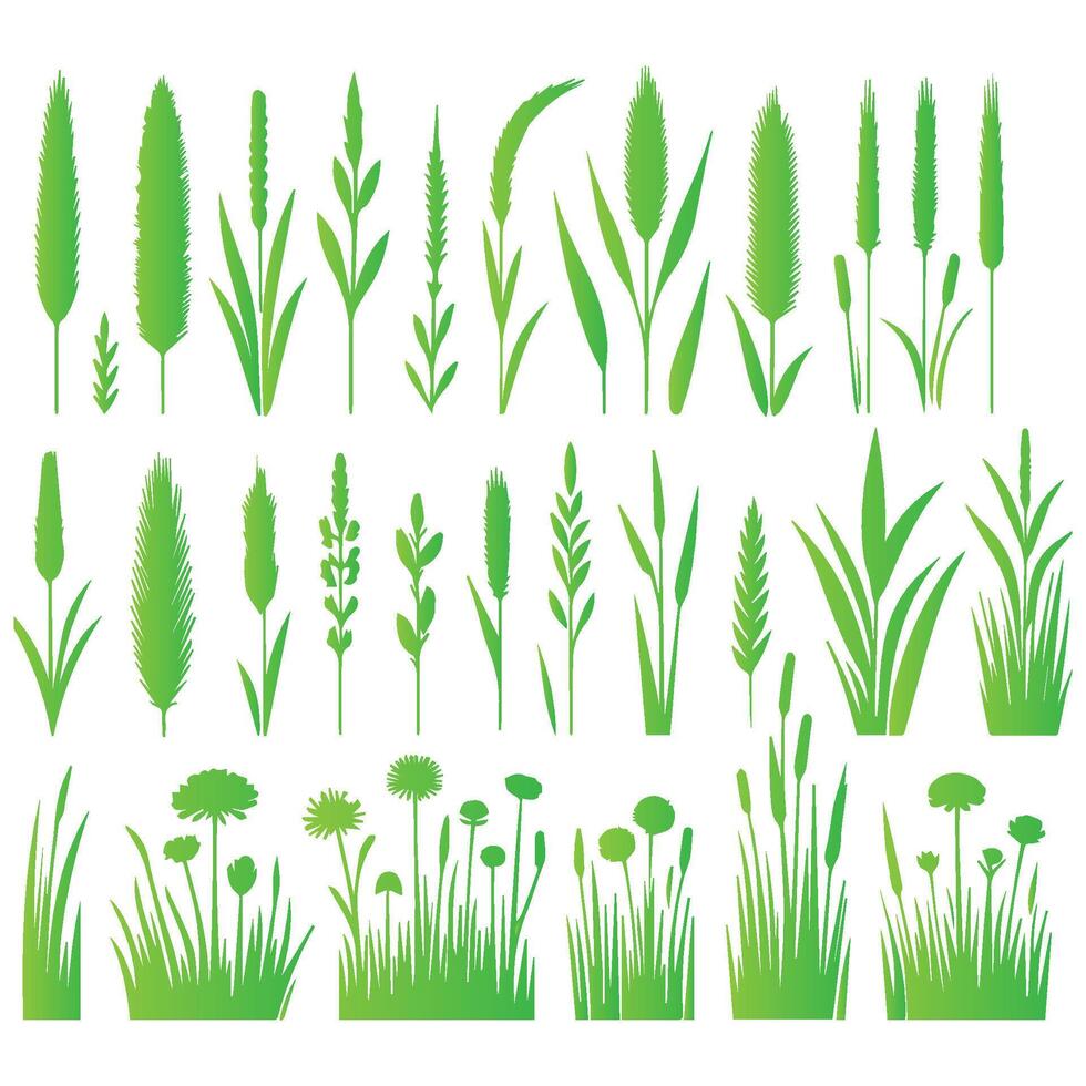 Green grass and plants vector