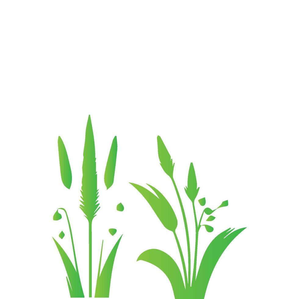 Green grass and plants on a white background vector