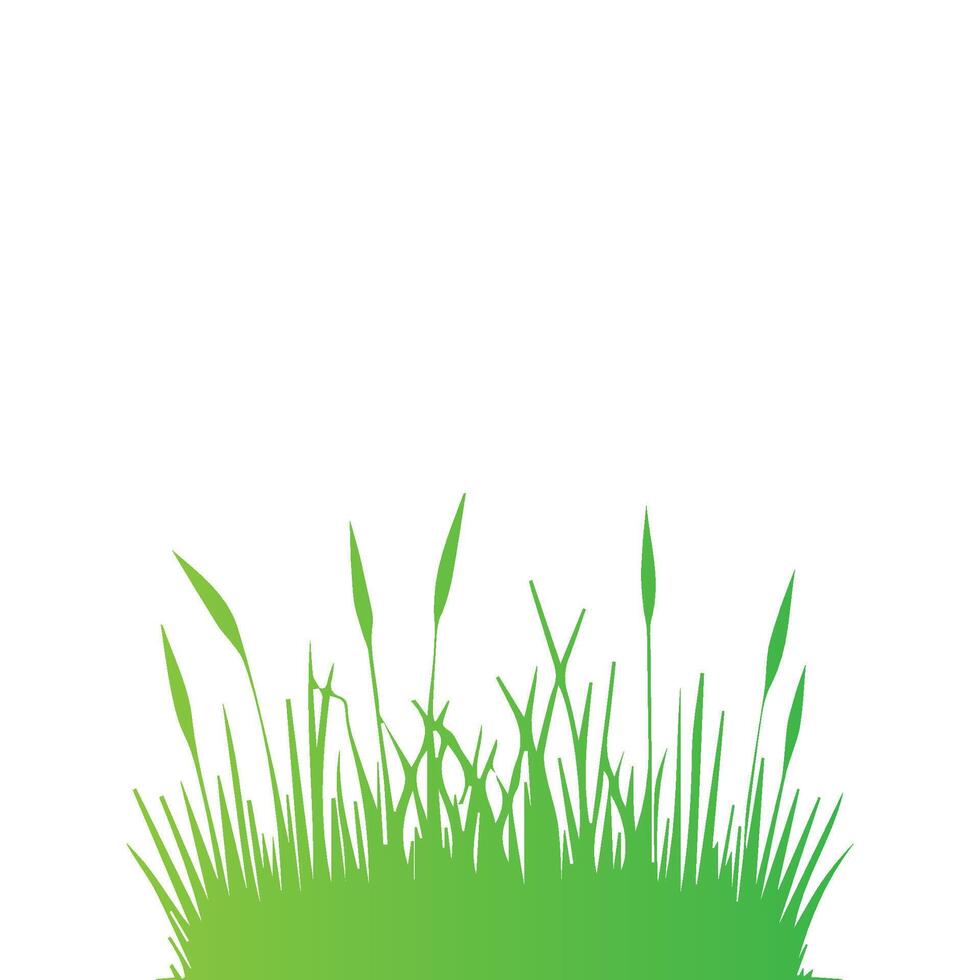 illustrations in flat style. green leaf. Grass vector