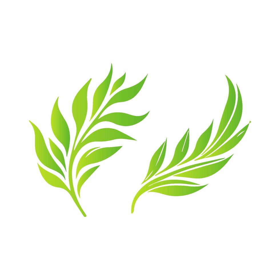 Two green leaves on a white background vector