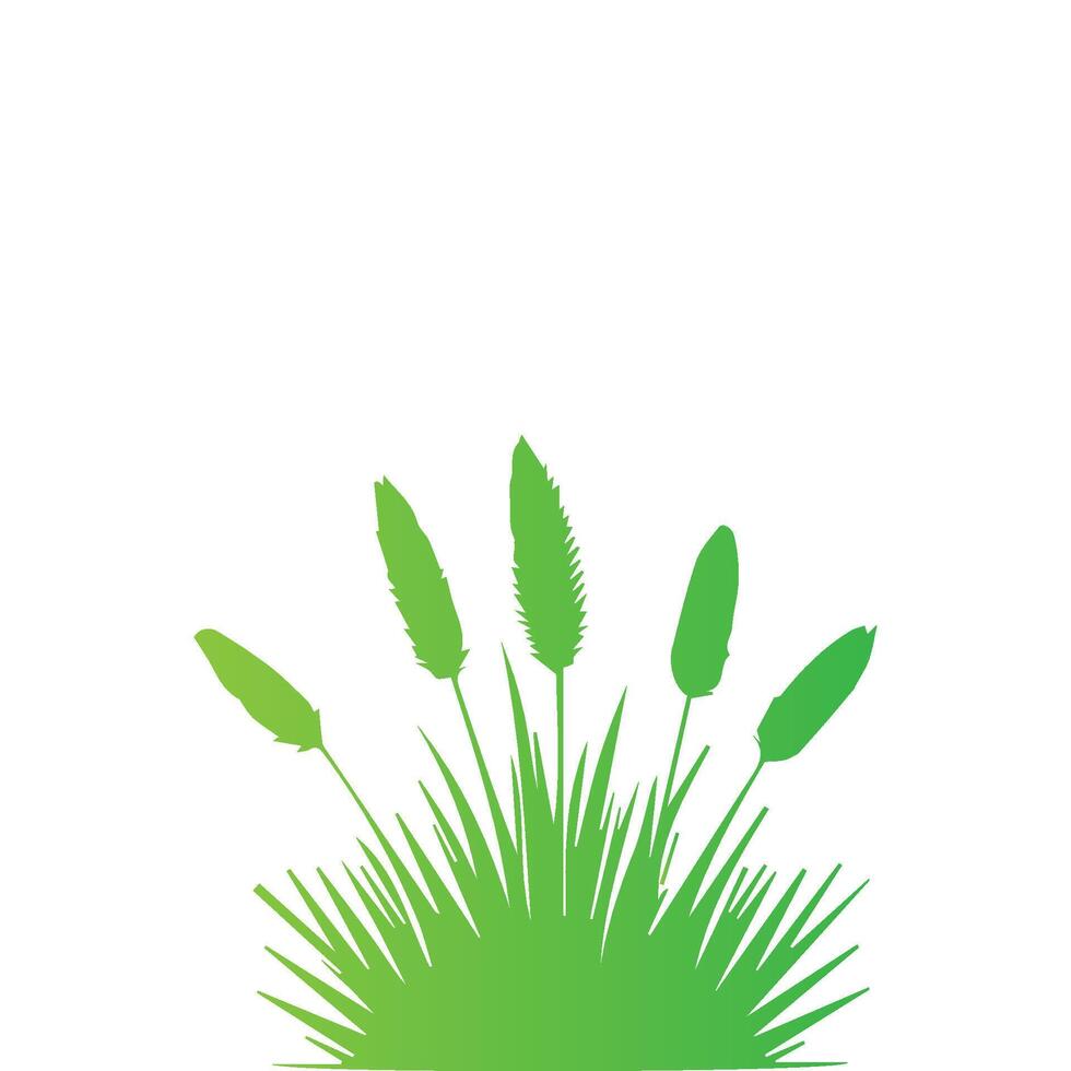 Green grass on white background vector