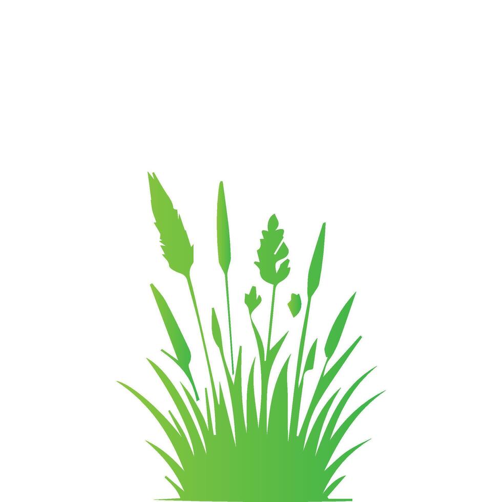 illustrations in flat style. green leaf. Grass vector