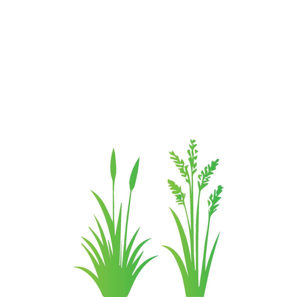Grass and reeds vector