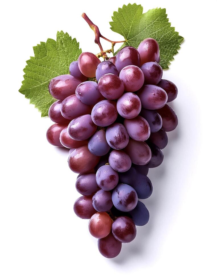bunch of grapes isolated on white background photo