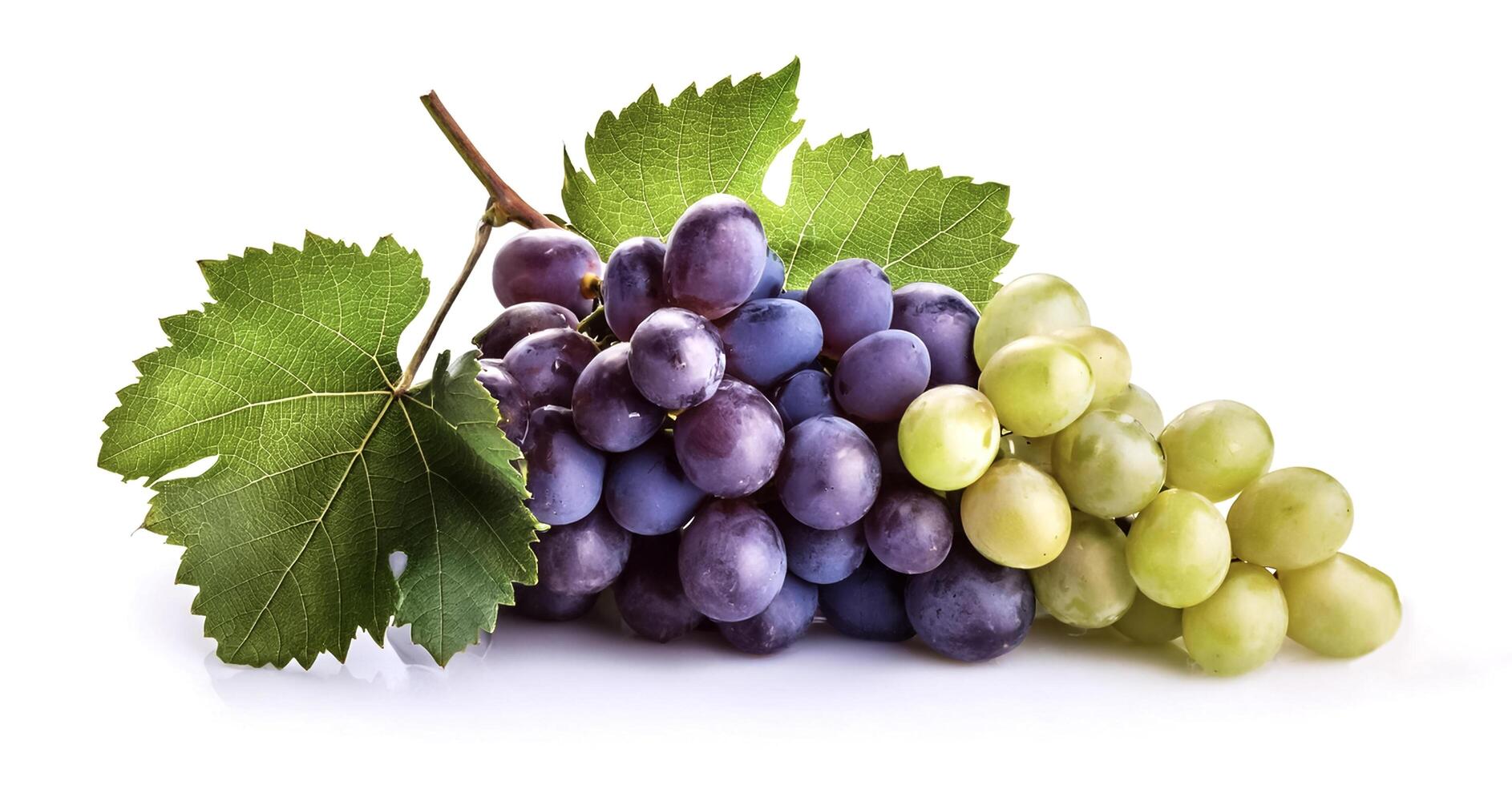 bunch of grapes isolated on white background photo