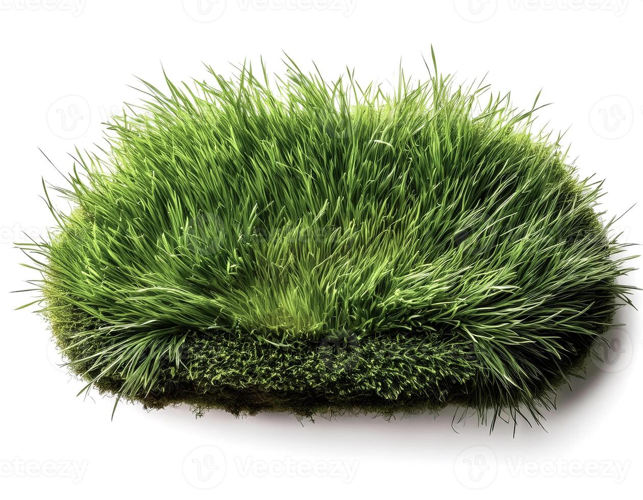 flat lay, top of views of patch of grass isolated on white background photo