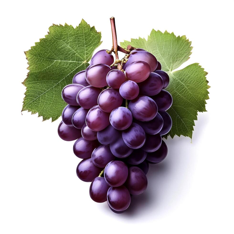 bunch of grapes isolated on white background photo