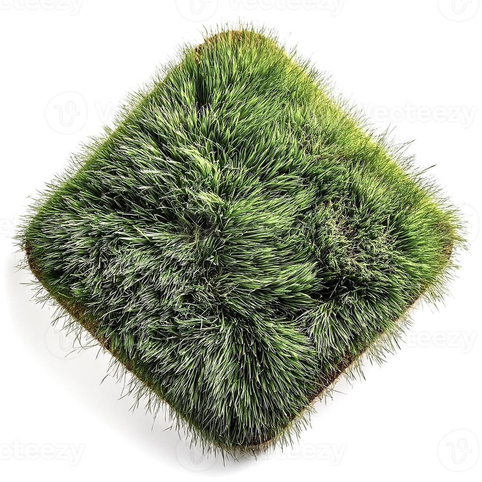 flat lay, top of views of patch of grass isolated on white background photo