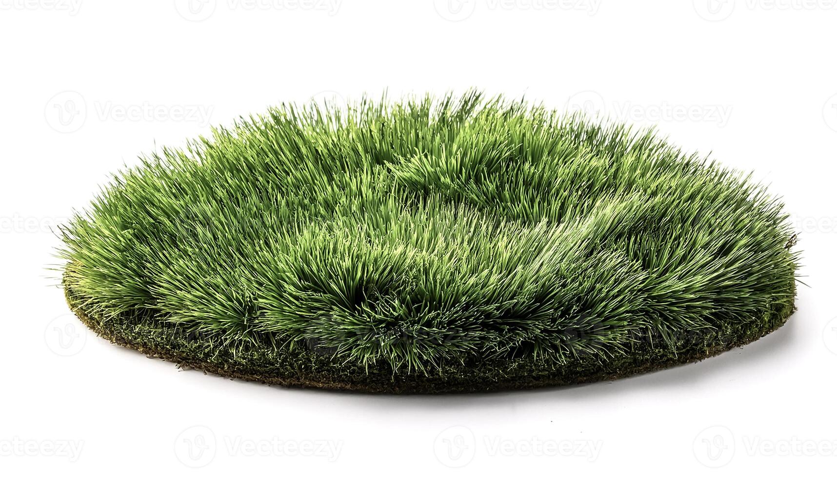 flat lay, top of views of patch of grass isolated on white background photo