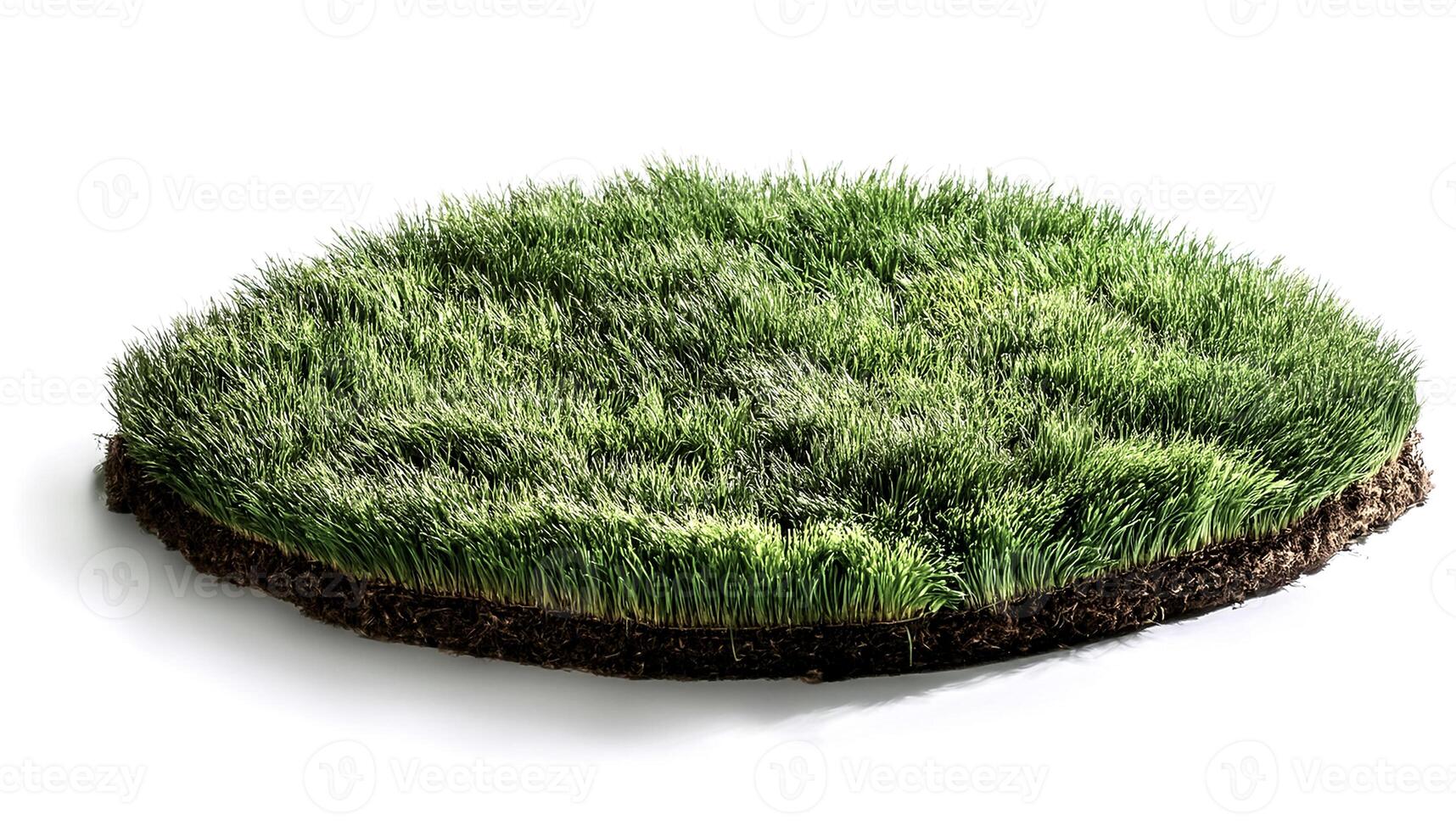 flat lay, top of views of patch of grass isolated on white background photo