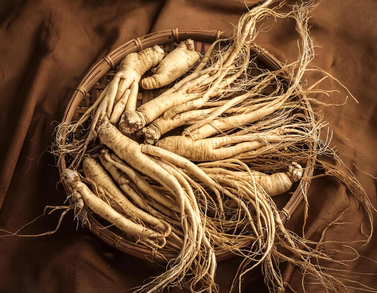 Lots of ginseng. ginseng Background Concept photo