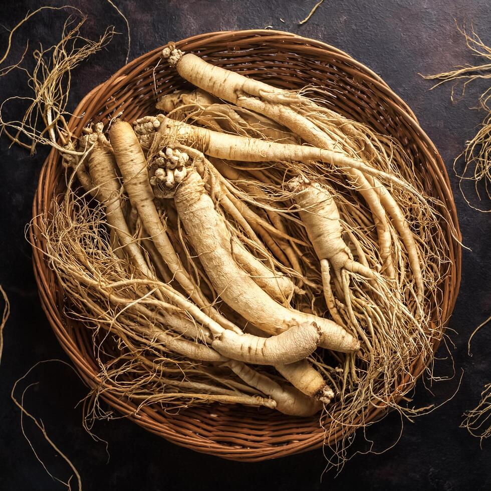 Lots of ginseng. ginseng Background Concept photo