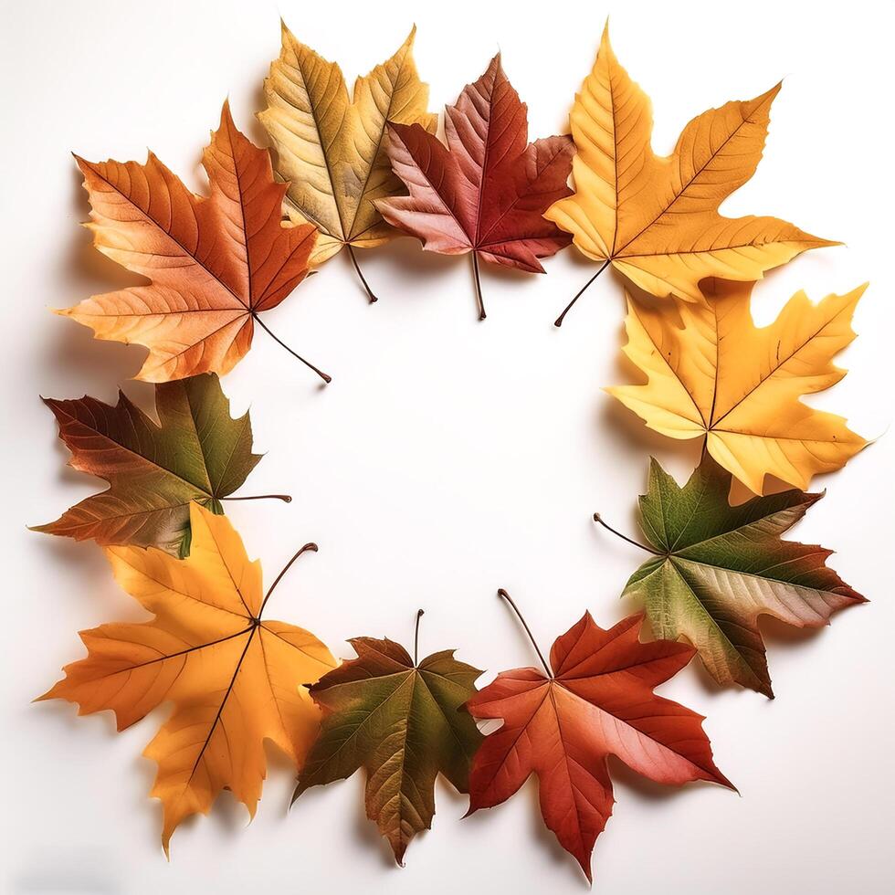frame of autumn leaves isolated on white background photo