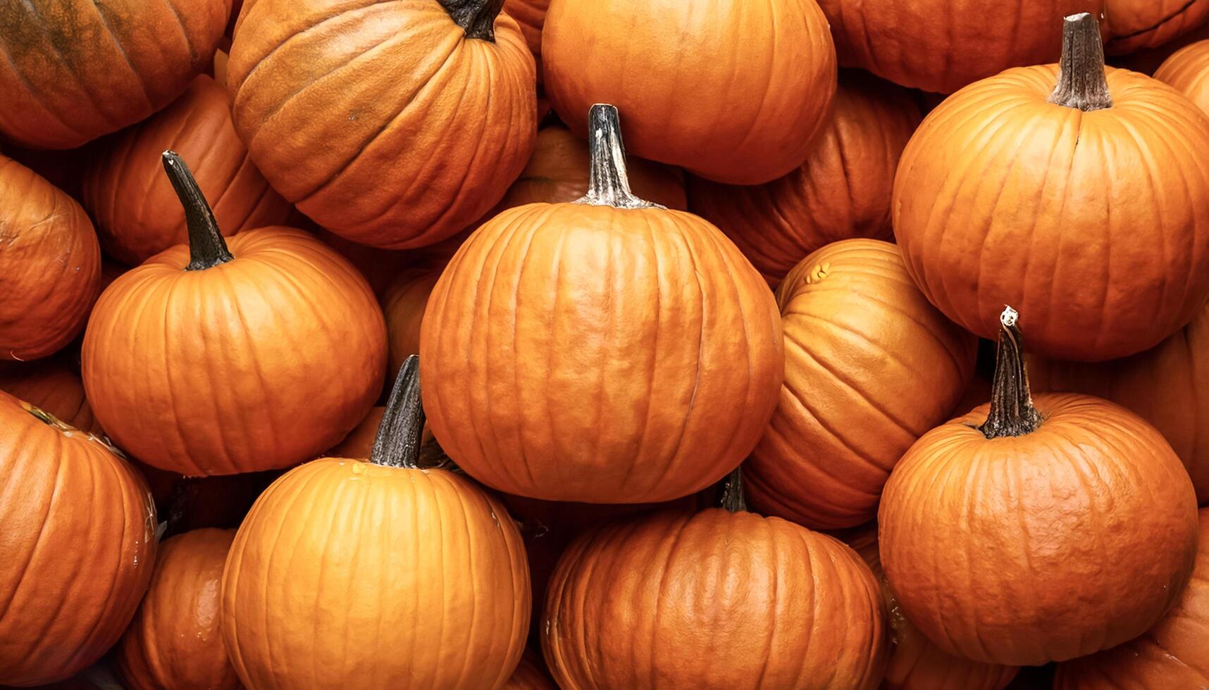 Pile Lots of pumpkin. pumpkin Background Concept. photo
