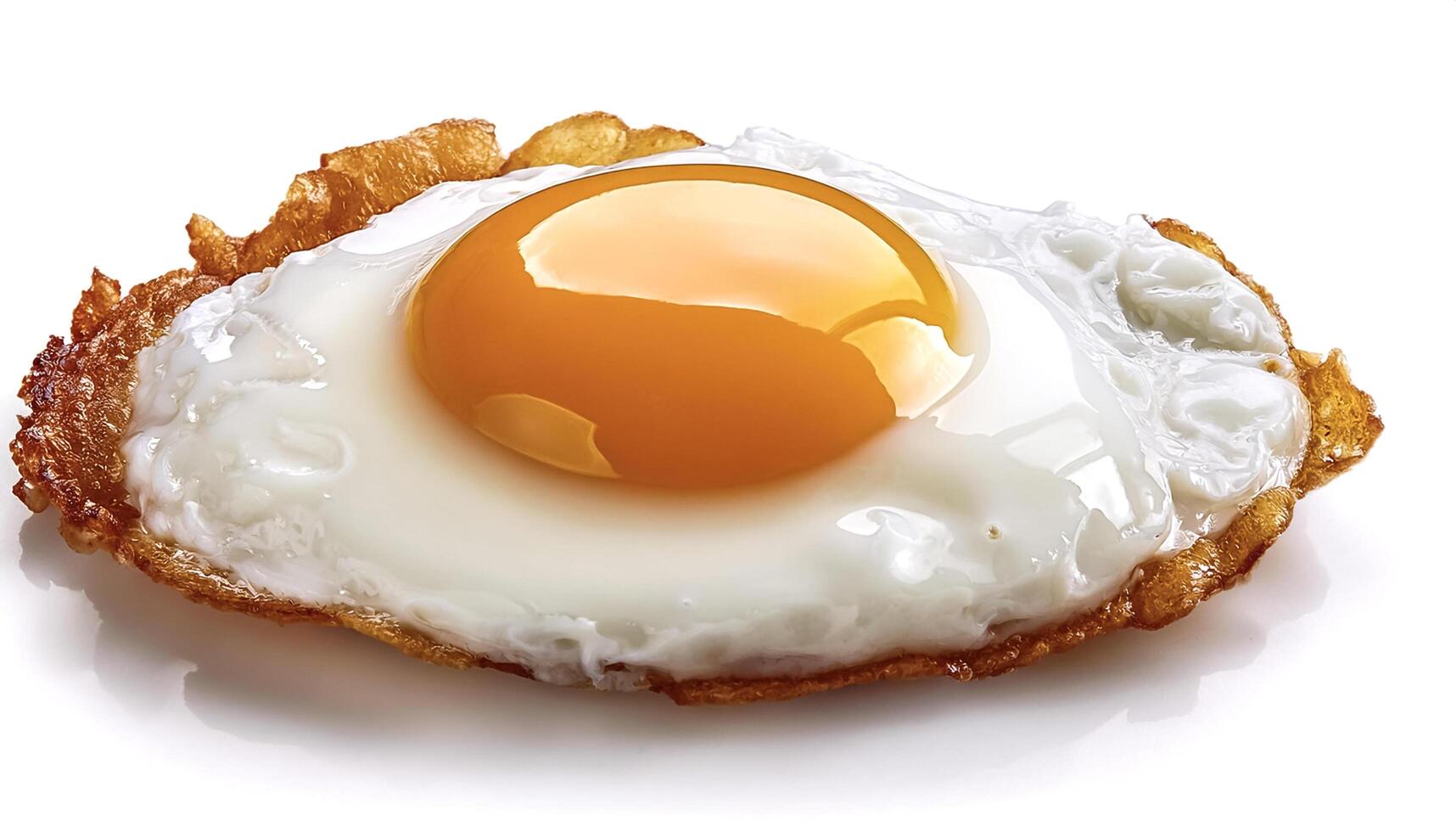 fried egg isolated on white background photo