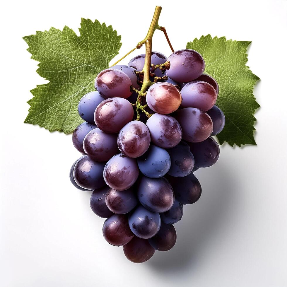 bunch of grapes isolated on white background photo