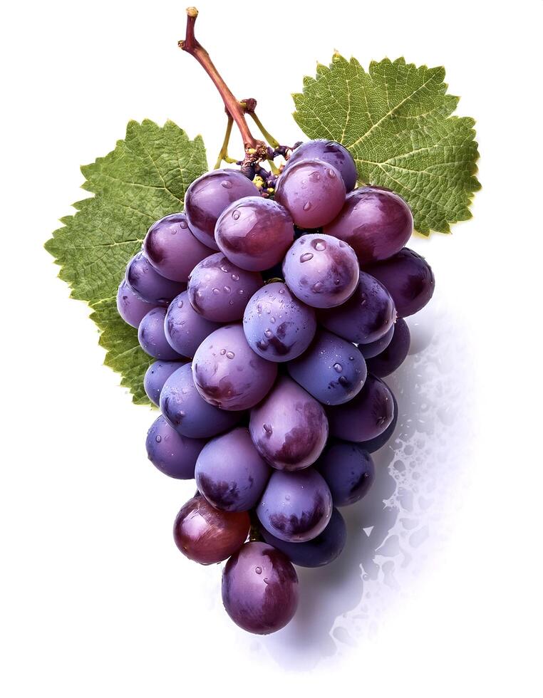 bunch of grapes isolated on white background photo