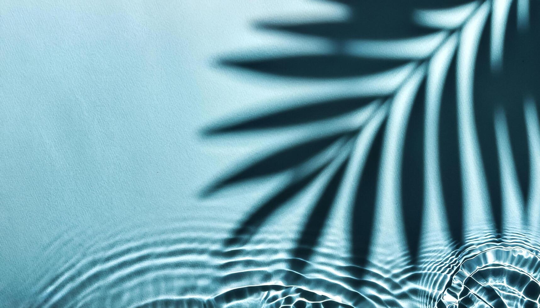 Transparent water wave with palm leaf shadow from above photo