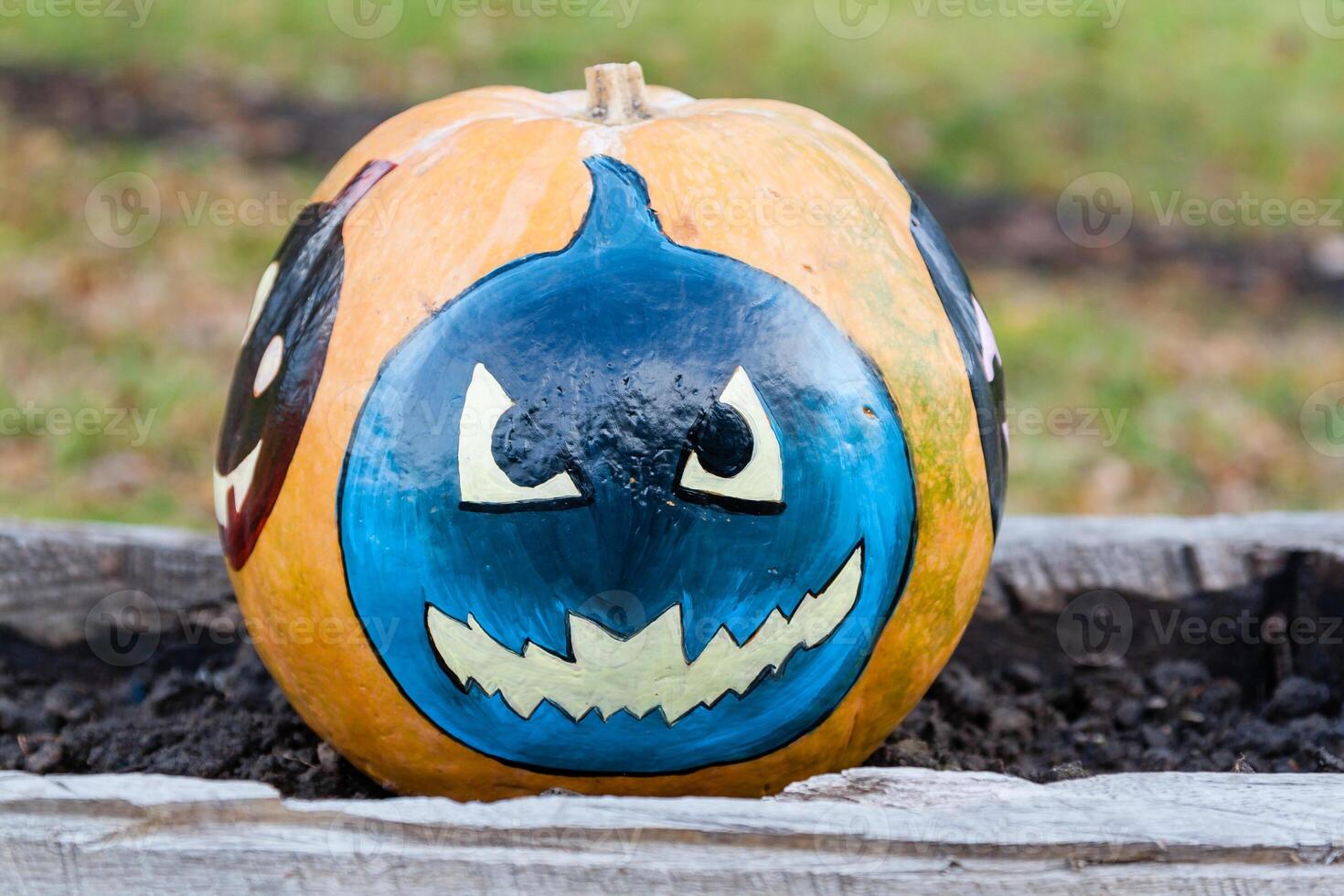 Beautiful pumpkins for halloween photo