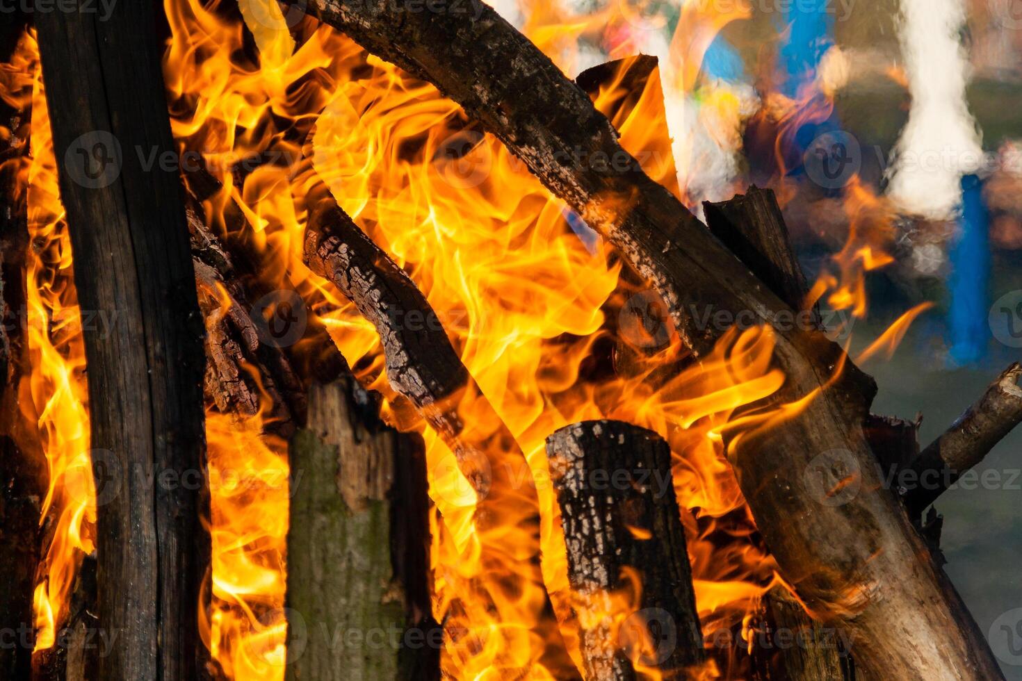 Beautiful fire flames on a campfire photo