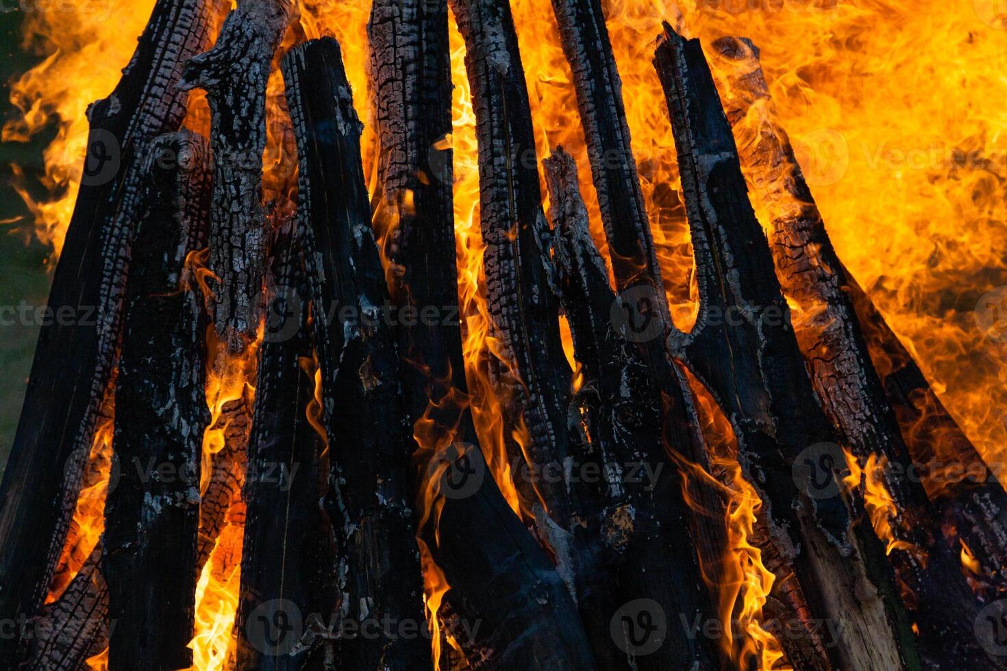 Beautiful fire flames on a campfire photo