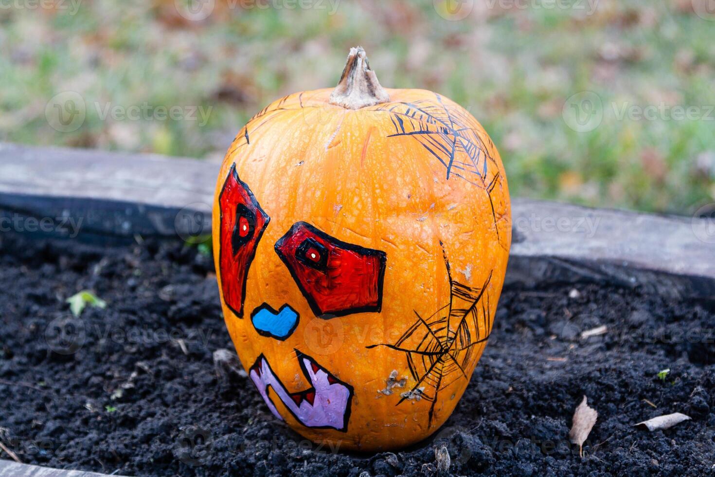 Beautiful pumpkins for halloween photo