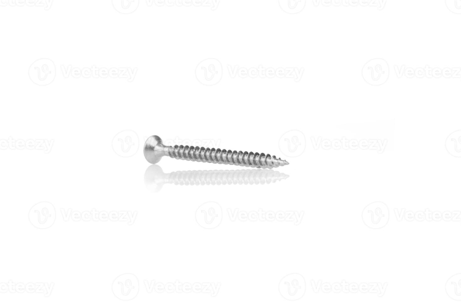 macro screw of silver color on a white background photo