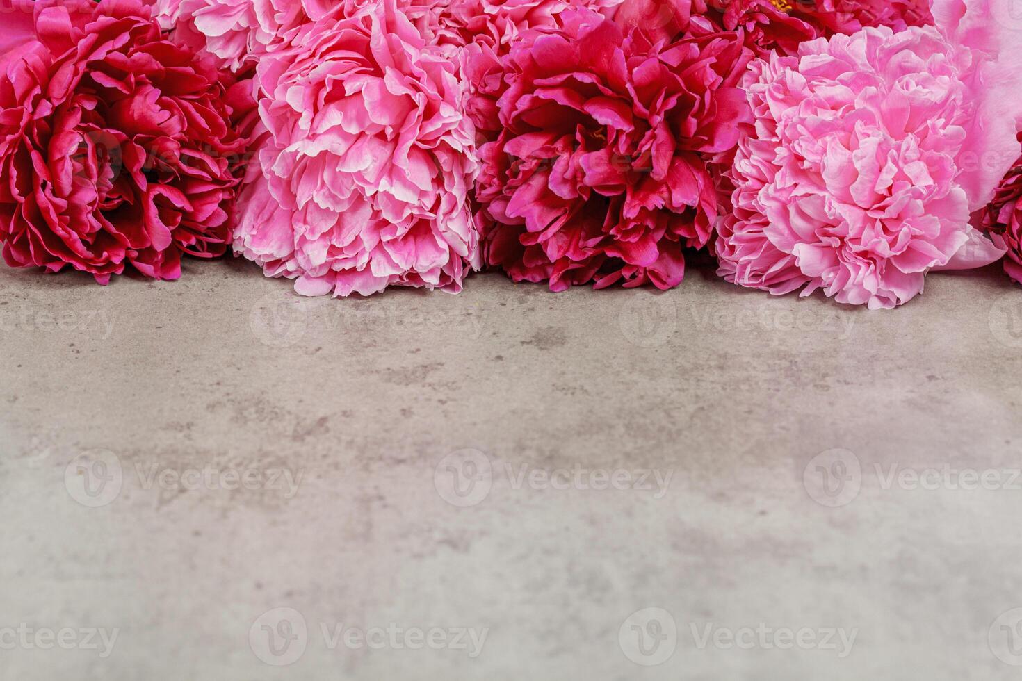 beautiful peonies on a gray table photo