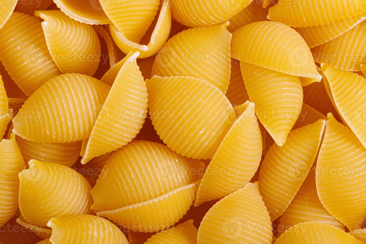 Pasta products in the form of a shell, texture photo