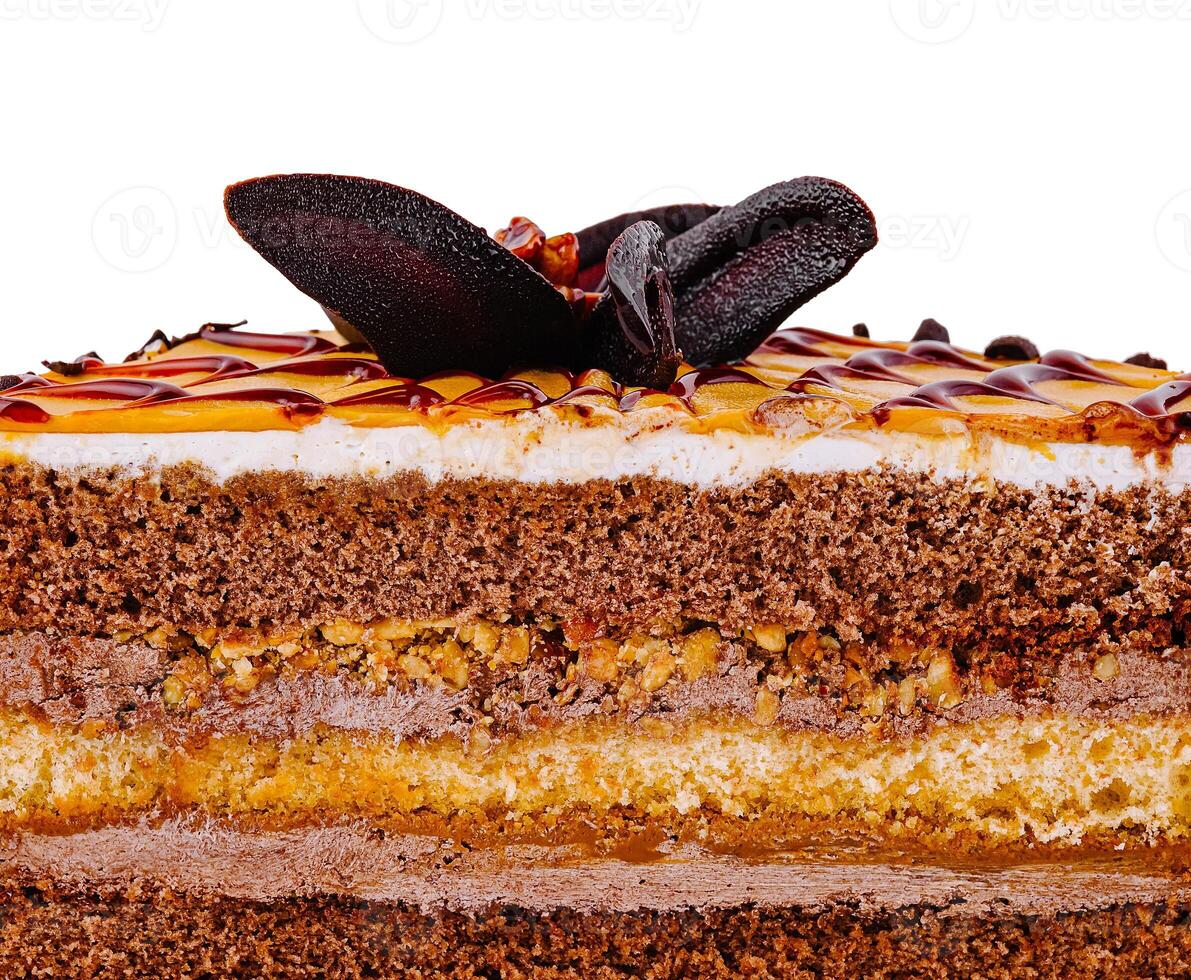 Delicious chocolate cake with caramel and chocolate topping showing its layers photo