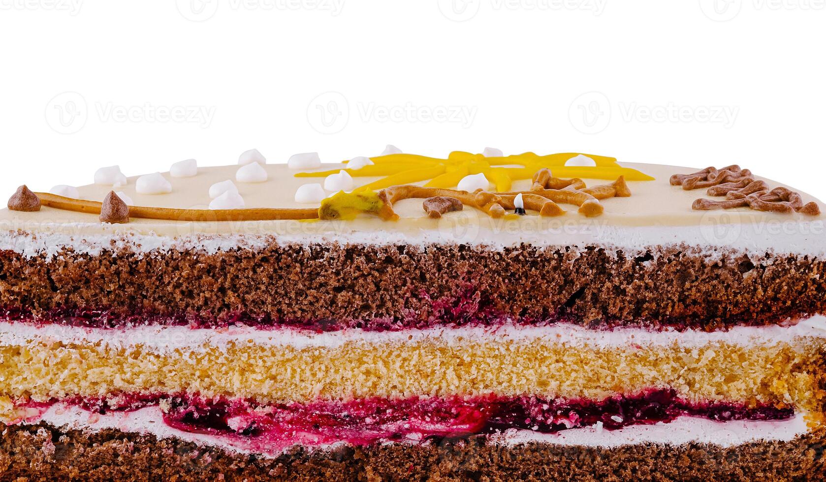 Delicious cake showing layers of chocolate sponge and cream filling photo