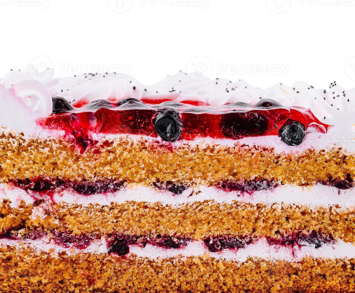 Delicious cake layers showing sponge and icing detail photo