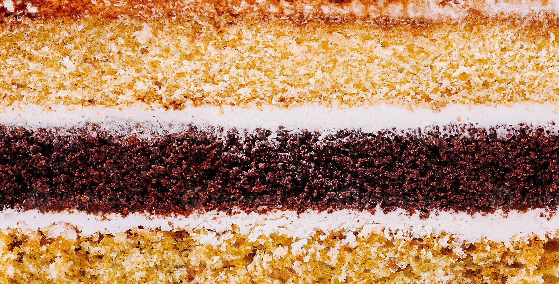 Delicious layered cake showing sponge and icing detail photo