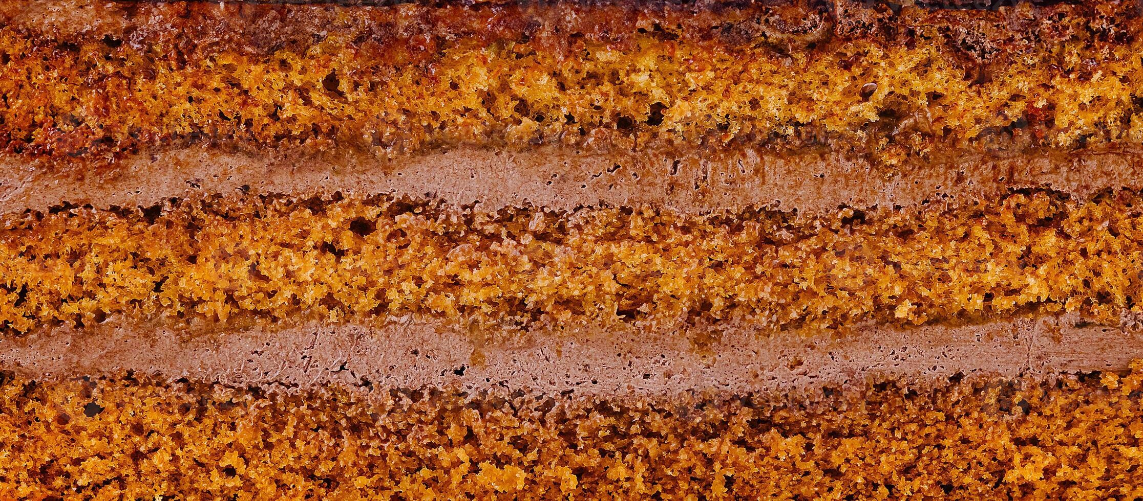 Delicious chocolate cake layers showing filling texture close up photo