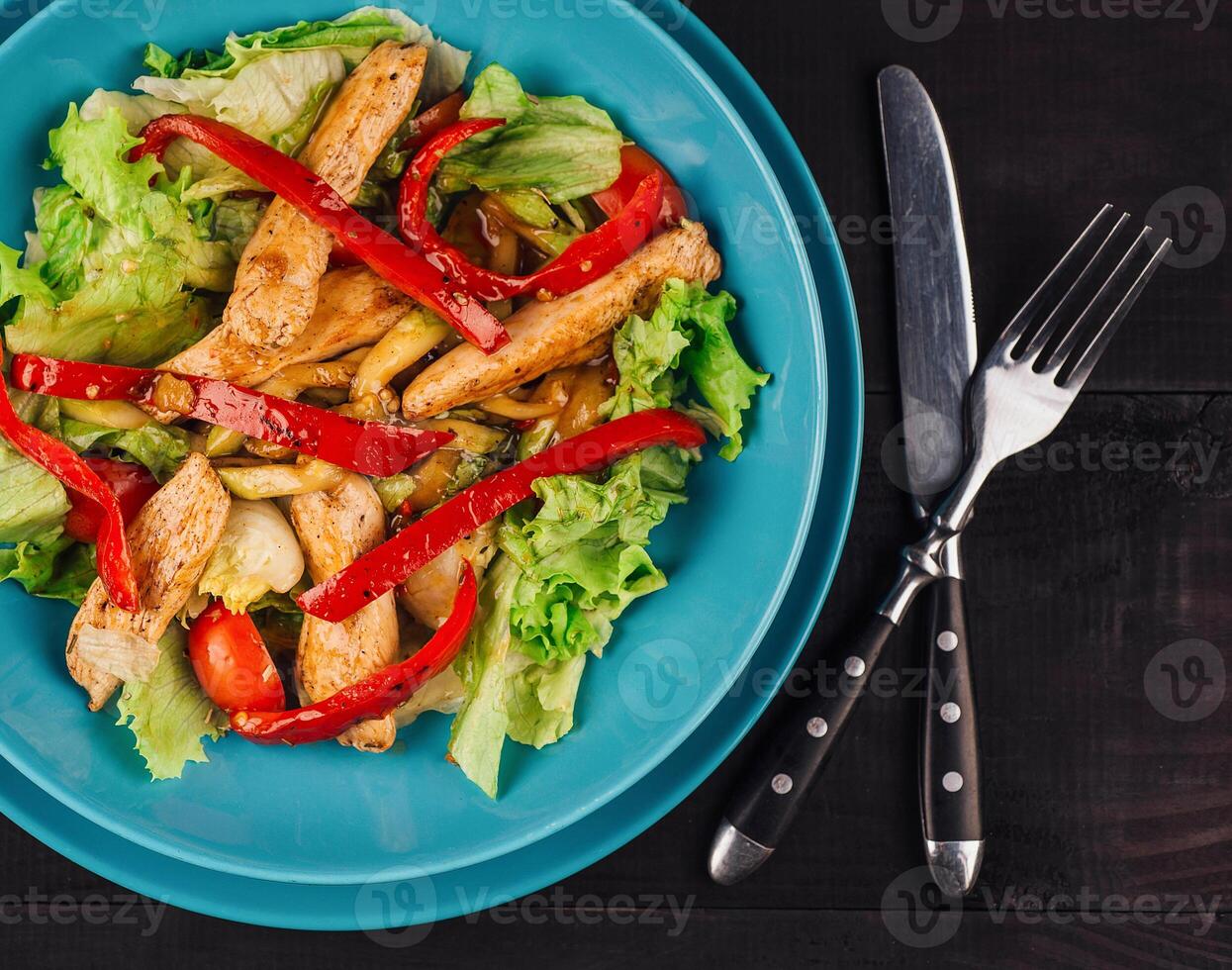 Delicious salad with grilled chicken and red pepper dressing on turquoise plate photo